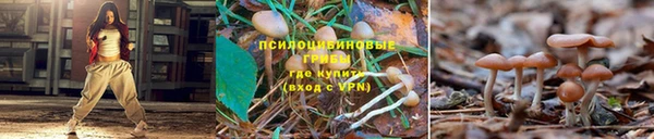 мескалин Верхний Тагил