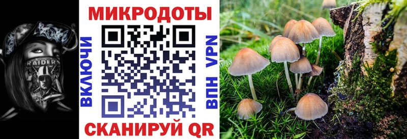 где можно купить   blacksprut ссылки  Псилоцибиновые грибы MAGIC MUSHROOMS  Губаха 